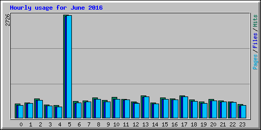 Hourly usage for June 2016