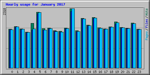 Hourly usage for January 2017